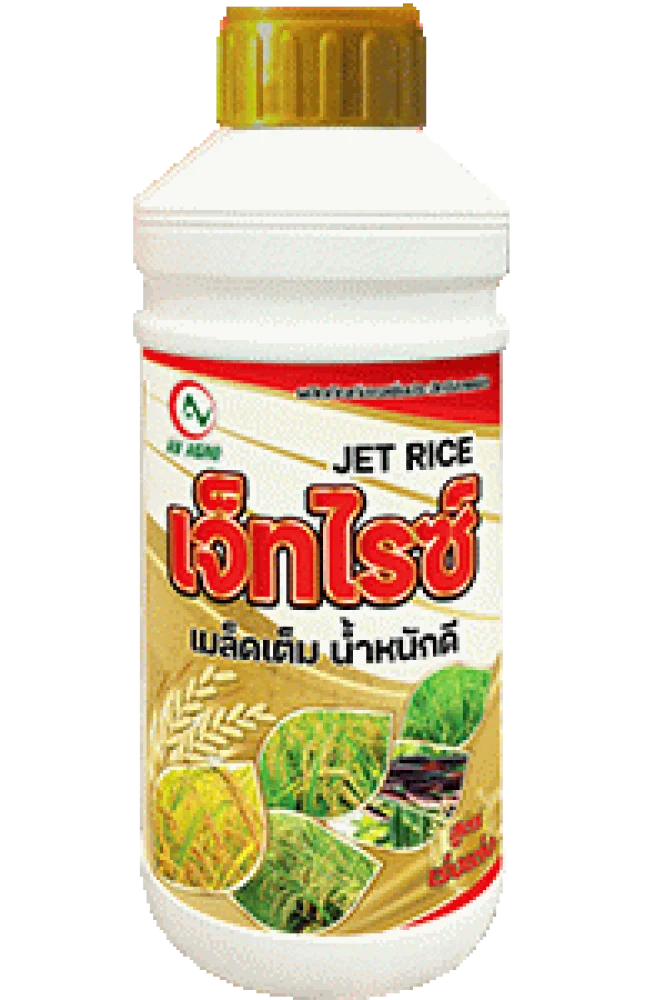เจ็ทไรซ์